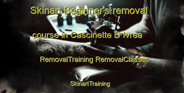 Skinart Beginner's removal course in Cascinette D Ivrea | #RemovalTraining #RemovalClasses #SkinartTraining-Italy