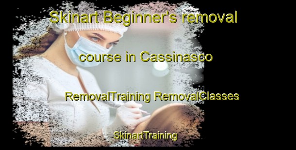 Skinart Beginner's removal course in Cassinasco | #RemovalTraining #RemovalClasses #SkinartTraining-Italy