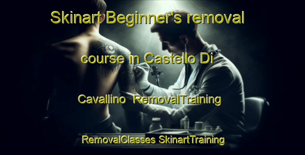 Skinart Beginner's removal course in Castello Di Cavallino | #RemovalTraining #RemovalClasses #SkinartTraining-Italy