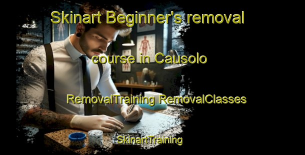 Skinart Beginner's removal course in Causolo | #RemovalTraining #RemovalClasses #SkinartTraining-Italy