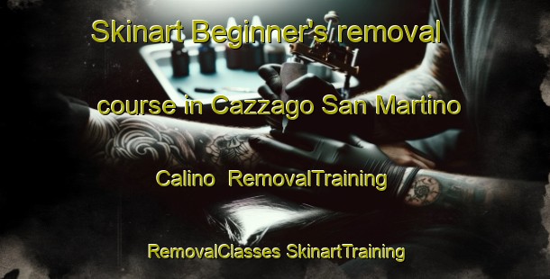 Skinart Beginner's removal course in Cazzago San Martino Calino | #RemovalTraining #RemovalClasses #SkinartTraining-Italy