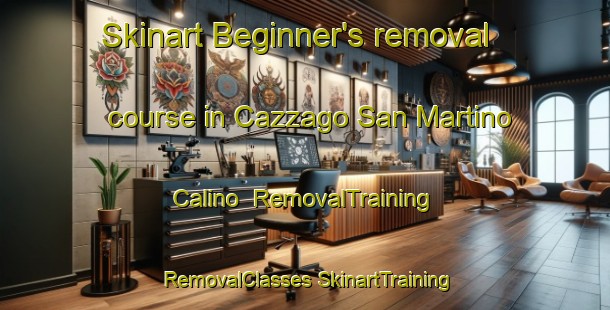 Skinart Beginner's removal course in Cazzago San Martino Calino | #RemovalTraining #RemovalClasses #SkinartTraining-Italy