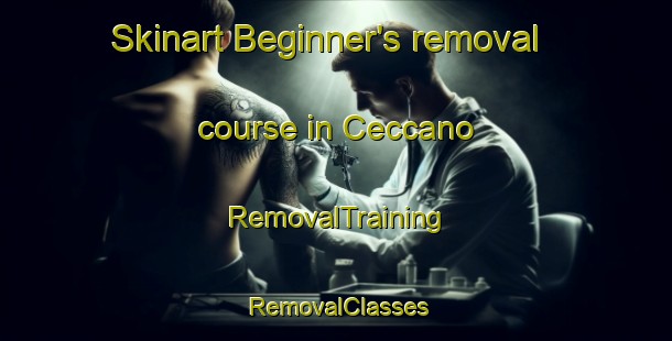 Skinart Beginner's removal course in Ceccano | RemovalTraining | RemovalClasses | SkinartTraining-Italy