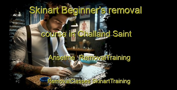 Skinart Beginner's removal course in Challand Saint Anselme | #RemovalTraining #RemovalClasses #SkinartTraining-Italy