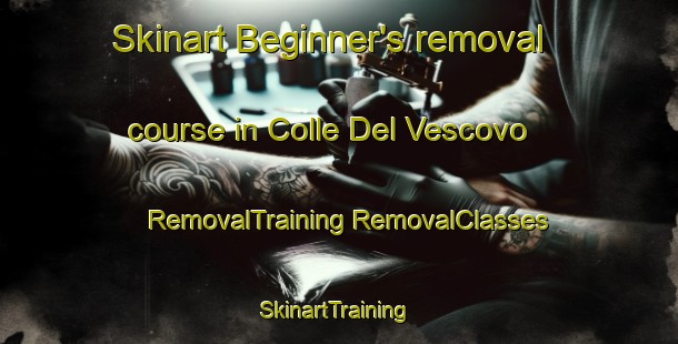 Skinart Beginner's removal course in Colle Del Vescovo | #RemovalTraining #RemovalClasses #SkinartTraining-Italy