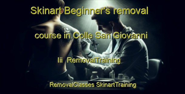 Skinart Beginner's removal course in Colle San Giovanni Iii | #RemovalTraining #RemovalClasses #SkinartTraining-Italy