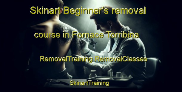 Skinart Beginner's removal course in Fornace Torribina | #RemovalTraining #RemovalClasses #SkinartTraining-Italy