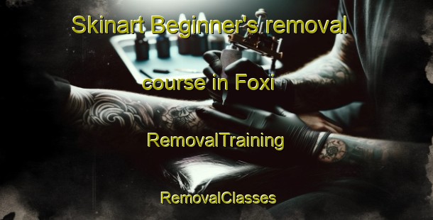 Skinart Beginner's removal course in Foxi | RemovalTraining | RemovalClasses | SkinartTraining-Italy