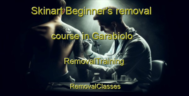 Skinart Beginner's removal course in Garabiolo | RemovalTraining | RemovalClasses | SkinartTraining-Italy