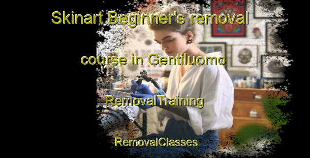 Skinart Beginner's removal course in Gentiluomo | RemovalTraining | RemovalClasses | SkinartTraining-Italy
