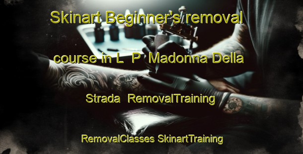 Skinart Beginner's removal course in L  P  Madonna Della Strada | #RemovalTraining #RemovalClasses #SkinartTraining-Italy