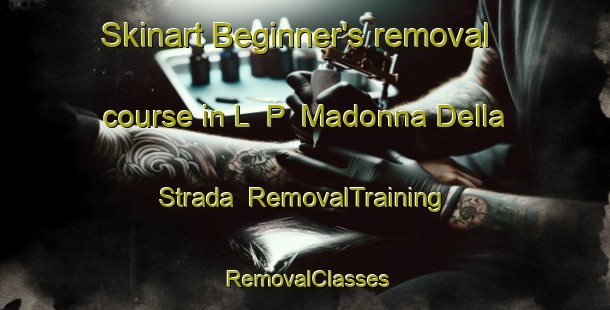 Skinart Beginner's removal course in L  P  Madonna Della Strada | RemovalTraining | RemovalClasses | SkinartTraining-Italy