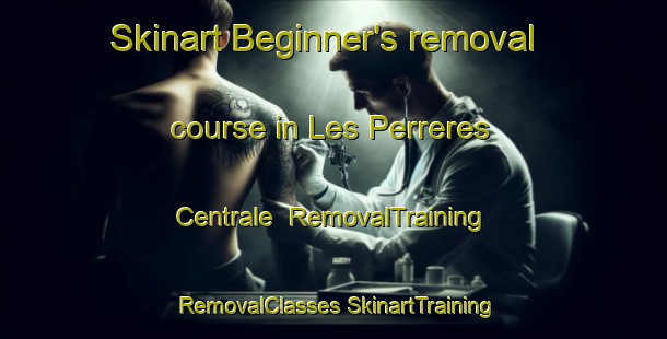 Skinart Beginner's removal course in Les Perreres Centrale | #RemovalTraining #RemovalClasses #SkinartTraining-Italy