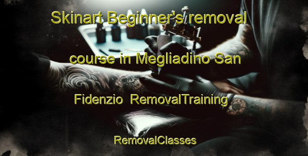 Skinart Beginner's removal course in Megliadino San Fidenzio | RemovalTraining | RemovalClasses | SkinartTraining-Italy