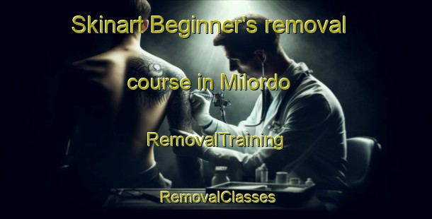 Skinart Beginner's removal course in Milordo | RemovalTraining | RemovalClasses | SkinartTraining-Italy