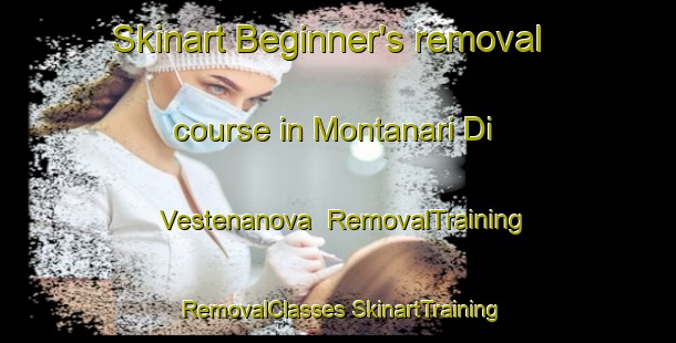 Skinart Beginner's removal course in Montanari Di Vestenanova | #RemovalTraining #RemovalClasses #SkinartTraining-Italy