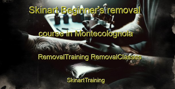 Skinart Beginner's removal course in Montecolognola | #RemovalTraining #RemovalClasses #SkinartTraining-Italy