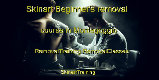 Skinart Beginner's removal course in Montegoggio | #RemovalTraining #RemovalClasses #SkinartTraining-Italy