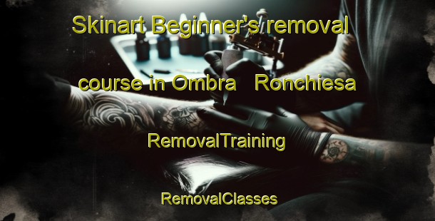 Skinart Beginner's removal course in Ombra   Ronchiesa | RemovalTraining | RemovalClasses | SkinartTraining-Italy