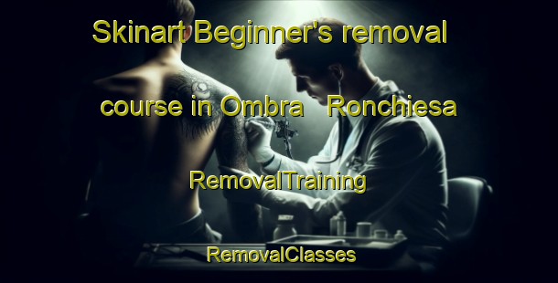 Skinart Beginner's removal course in Ombra   Ronchiesa | RemovalTraining | RemovalClasses | SkinartTraining-Italy