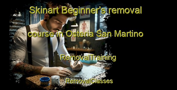 Skinart Beginner's removal course in Osteria San Martino | RemovalTraining | RemovalClasses | SkinartTraining-Italy