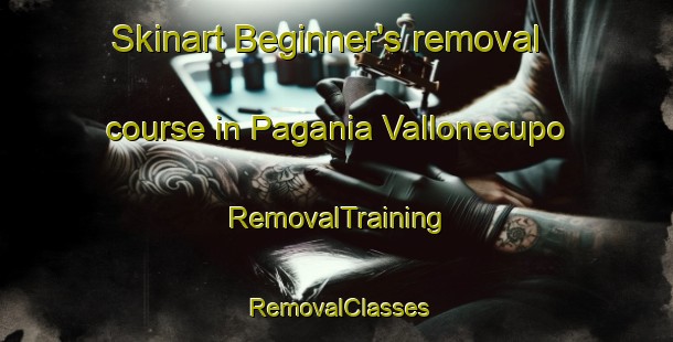 Skinart Beginner's removal course in Pagania Vallonecupo | RemovalTraining | RemovalClasses | SkinartTraining-Italy