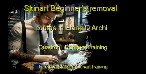 Skinart Beginner's removal course in Piane D Archi Quadroni | #RemovalTraining #RemovalClasses #SkinartTraining-Italy