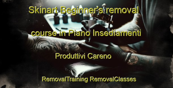 Skinart Beginner's removal course in Piano Insediamenti Produttivi Careno | #RemovalTraining #RemovalClasses #SkinartTraining-Italy