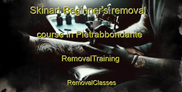 Skinart Beginner's removal course in Pietrabbondante | RemovalTraining | RemovalClasses | SkinartTraining-Italy