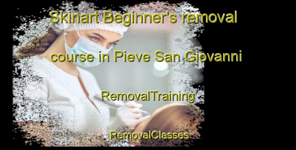 Skinart Beginner's removal course in Pieve San Giovanni | RemovalTraining | RemovalClasses | SkinartTraining-Italy
