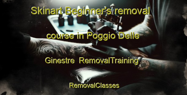 Skinart Beginner's removal course in Poggio Delle Ginestre | RemovalTraining | RemovalClasses | SkinartTraining-Italy
