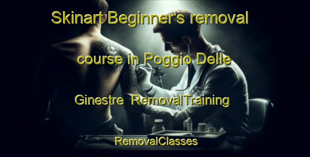 Skinart Beginner's removal course in Poggio Delle Ginestre | RemovalTraining | RemovalClasses | SkinartTraining-Italy