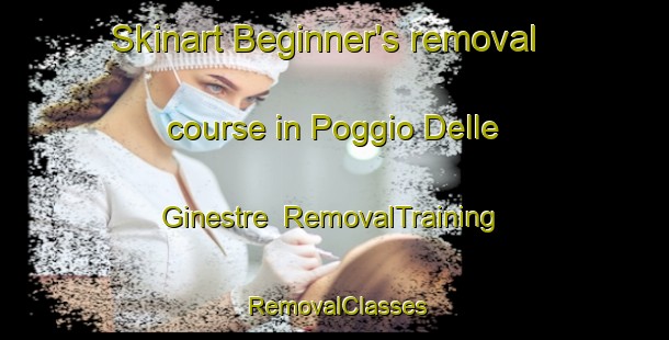 Skinart Beginner's removal course in Poggio Delle Ginestre | RemovalTraining | RemovalClasses | SkinartTraining-Italy
