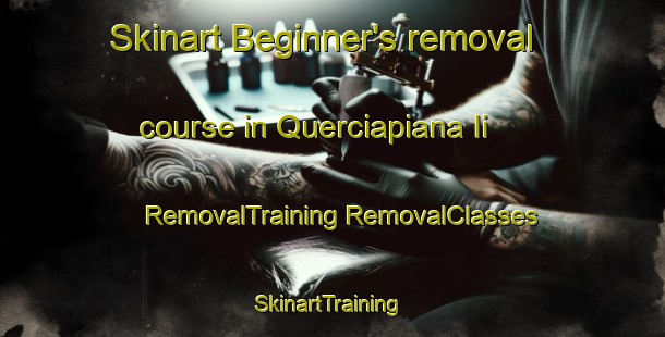 Skinart Beginner's removal course in Querciapiana Ii | #RemovalTraining #RemovalClasses #SkinartTraining-Italy