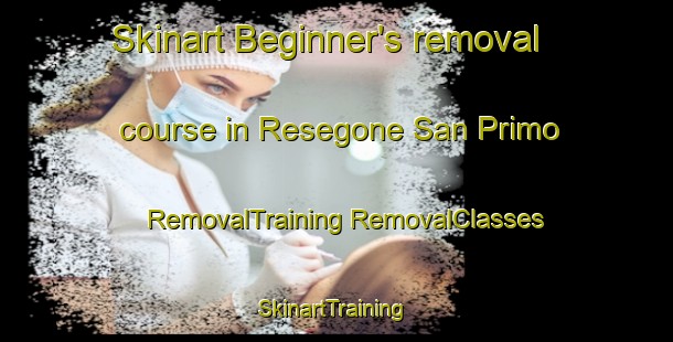 Skinart Beginner's removal course in Resegone San Primo | #RemovalTraining #RemovalClasses #SkinartTraining-Italy