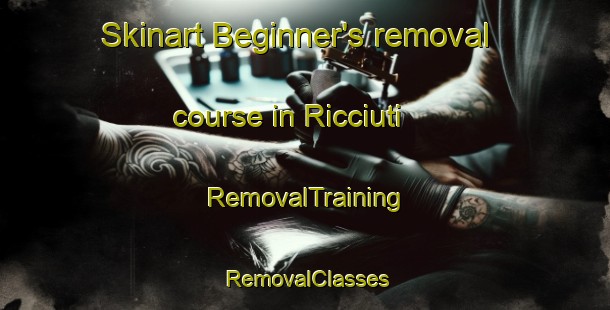 Skinart Beginner's removal course in Ricciuti | RemovalTraining | RemovalClasses | SkinartTraining-Italy