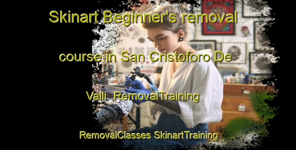 Skinart Beginner's removal course in San Cristoforo De Valli | #RemovalTraining #RemovalClasses #SkinartTraining-Italy