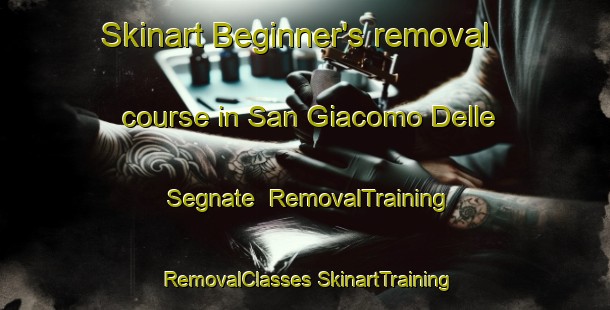 Skinart Beginner's removal course in San Giacomo Delle Segnate | #RemovalTraining #RemovalClasses #SkinartTraining-Italy