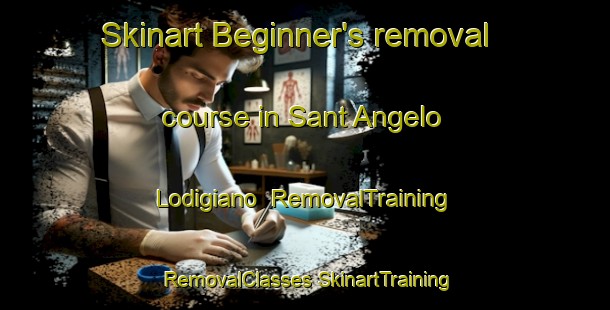 Skinart Beginner's removal course in Sant Angelo Lodigiano | #RemovalTraining #RemovalClasses #SkinartTraining-Italy