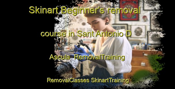 Skinart Beginner's removal course in Sant Antonio D Ascula | #RemovalTraining #RemovalClasses #SkinartTraining-Italy