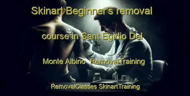 Skinart Beginner's removal course in Sant Egidio Del Monte Albino | #RemovalTraining #RemovalClasses #SkinartTraining-Italy