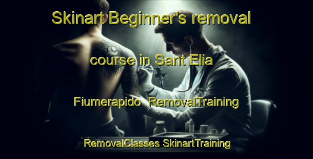 Skinart Beginner's removal course in Sant Elia Fiumerapido | #RemovalTraining #RemovalClasses #SkinartTraining-Italy