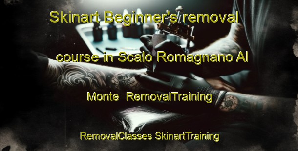 Skinart Beginner's removal course in Scalo Romagnano Al Monte | #RemovalTraining #RemovalClasses #SkinartTraining-Italy