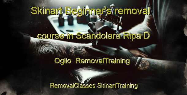 Skinart Beginner's removal course in Scandolara Ripa D Oglio | #RemovalTraining #RemovalClasses #SkinartTraining-Italy