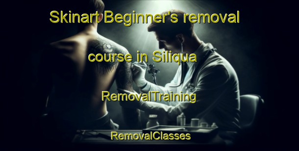 Skinart Beginner's removal course in Siliqua | RemovalTraining | RemovalClasses | SkinartTraining-Italy