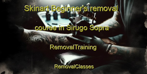 Skinart Beginner's removal course in Sirugo Sopra | RemovalTraining | RemovalClasses | SkinartTraining-Italy