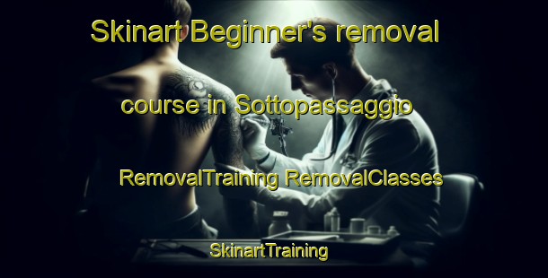 Skinart Beginner's removal course in Sottopassaggio | #RemovalTraining #RemovalClasses #SkinartTraining-Italy