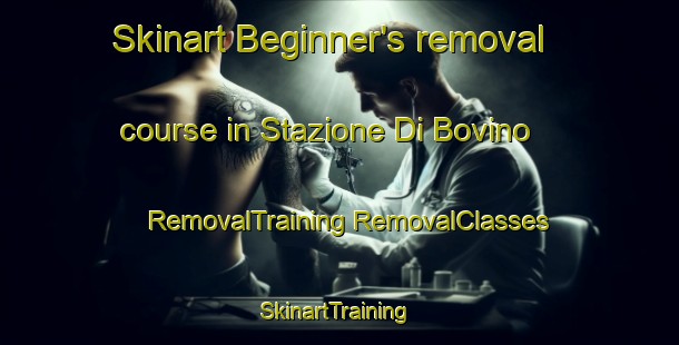 Skinart Beginner's removal course in Stazione Di Bovino | #RemovalTraining #RemovalClasses #SkinartTraining-Italy