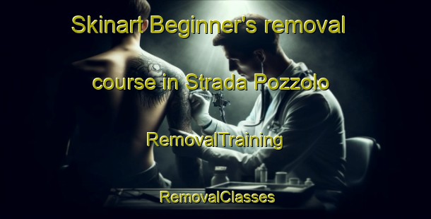 Skinart Beginner's removal course in Strada Pozzolo | RemovalTraining | RemovalClasses | SkinartTraining-Italy