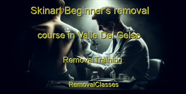 Skinart Beginner's removal course in Valle Del Gelso | RemovalTraining | RemovalClasses | SkinartTraining-Italy